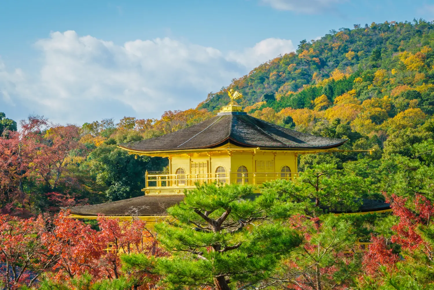 熊野古道和歌山自然景觀